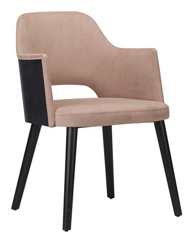 Cirrus - Armchair - Onset Veneer Back 