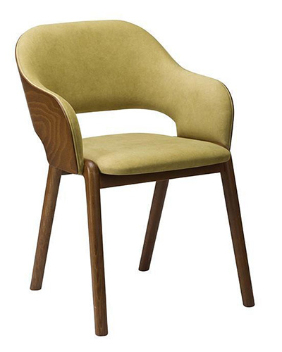 Lane Armchair - Onset Veneer Back / Upholstered Seat 